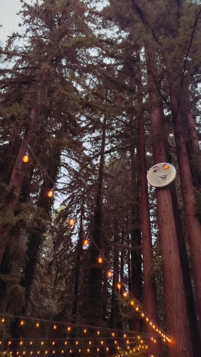 Rainy Day & it’s cozy inside.
Come enjoy dinner, fireside with @carley.weaver.58 
Enjoy our #SundaySupper Special
#Homemade Meatloaf and Mashed + our full bar & cafe menu. Until 10pm.