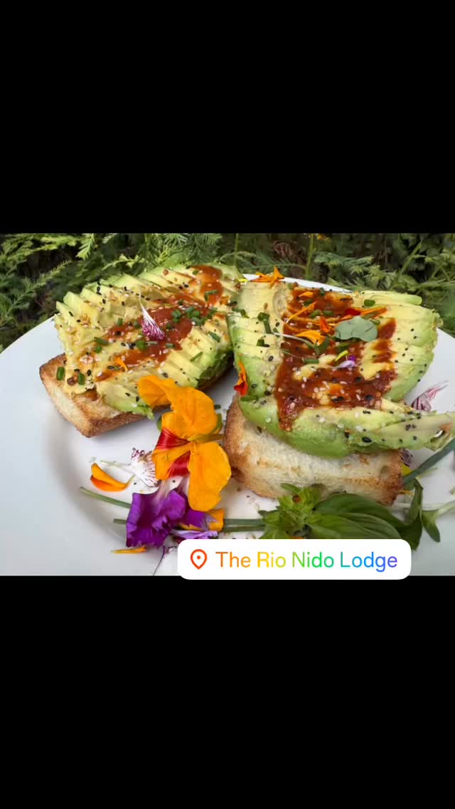 #sonomacounty 
#avocadotoast 
#breakfast 
#russianriver 
#therionidolodge