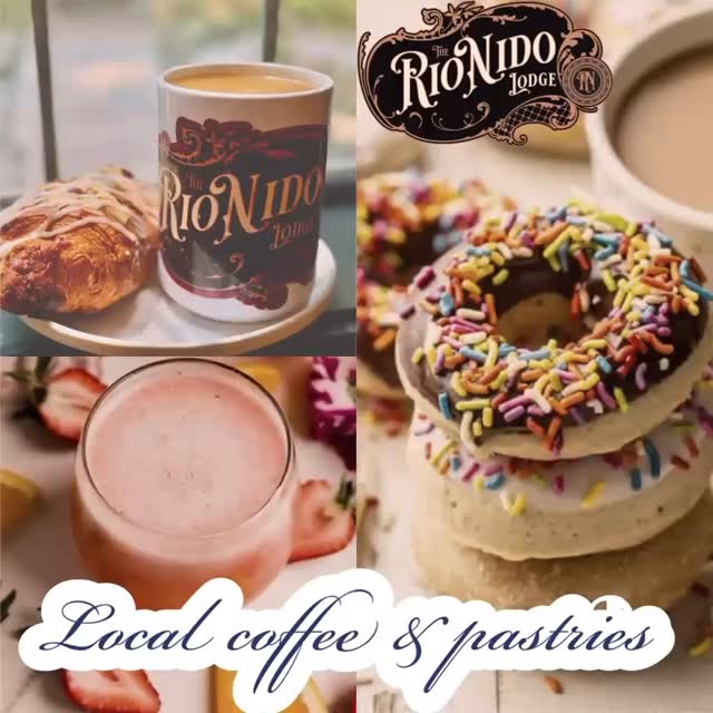 See ya’ll in the morning! 

#sonomacounty #therionidolodge #donuts #strawberrymatcha #brunch