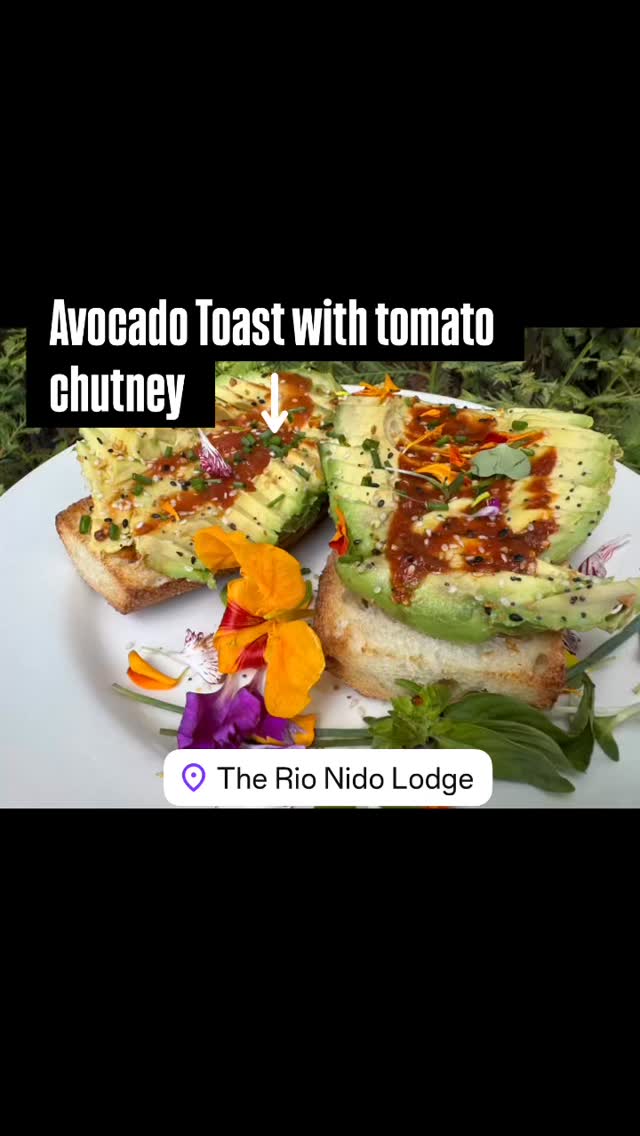 #therionidolodge #avocadotoast #brunchingitup #breakfast #healthiswealth