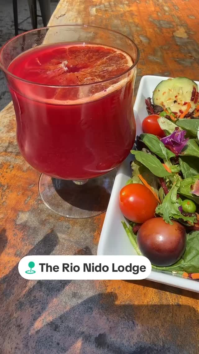 #therionidolodge #healthiswealth❤️ #russianriver #freshjuices #lunch