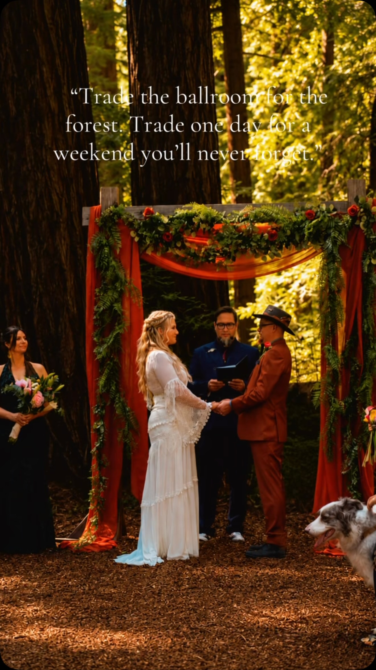 #therionidolodge #russianriver #winecountrywedding #forestwedding #marraigevibes