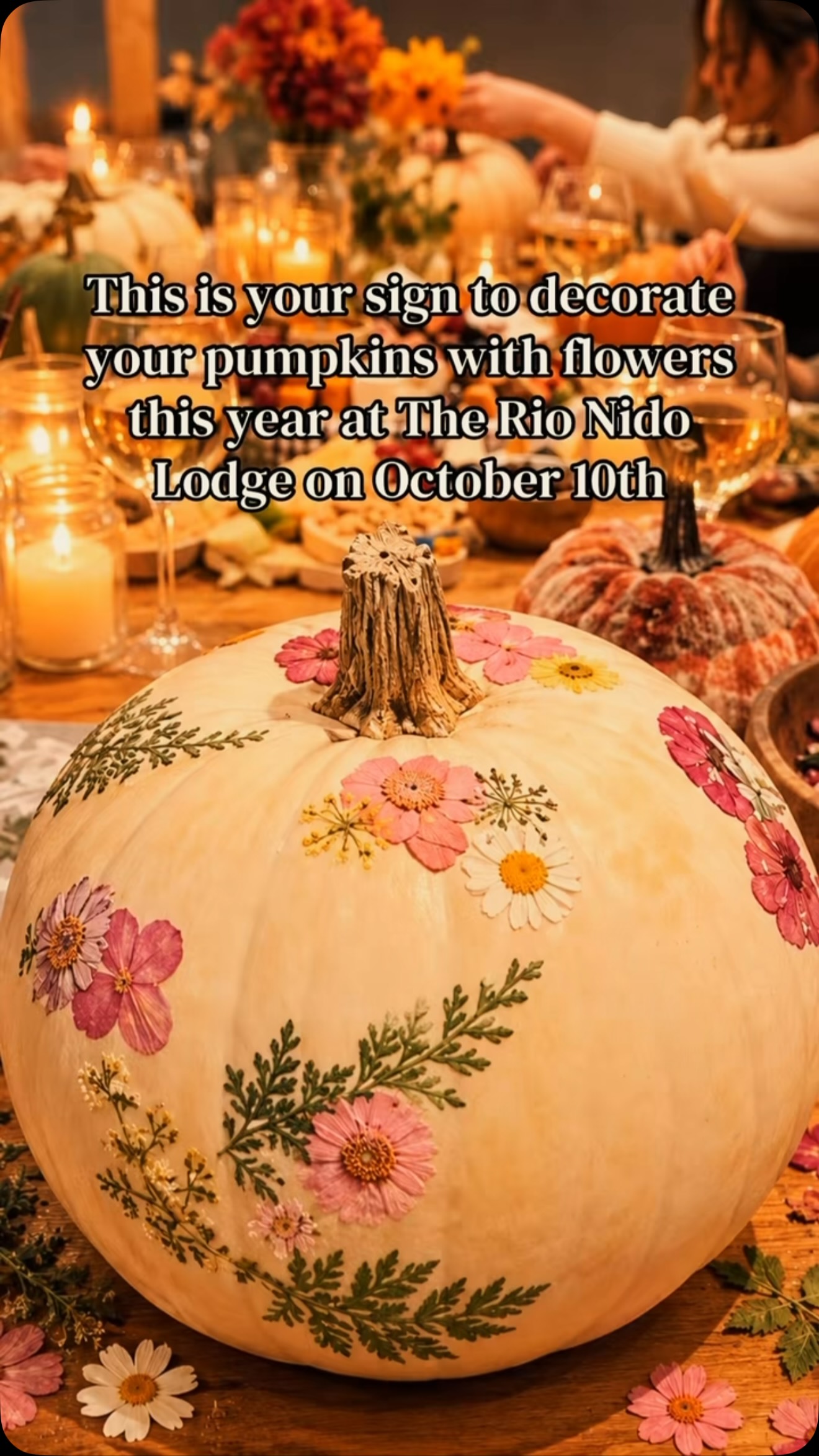 #therionidolodge #pumpkin #russianriver #saturday #travel