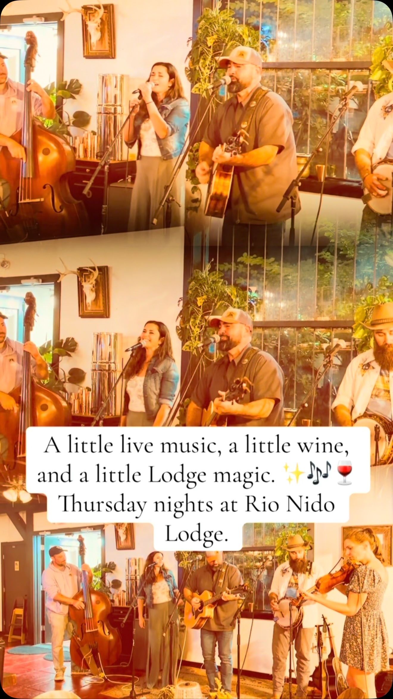 A little live music, a little wine, and a little Lodge magic. ✨🎶🍷 Thursday nights at Rio Nido Lodge.

#therionidolodge #thursday #guerneville #lodgelife #livemusic