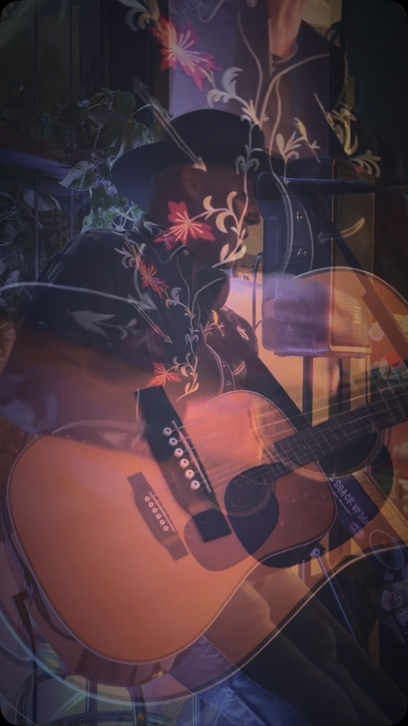 #therionidolodge #guerneville #livemusic #travel #fridaynight